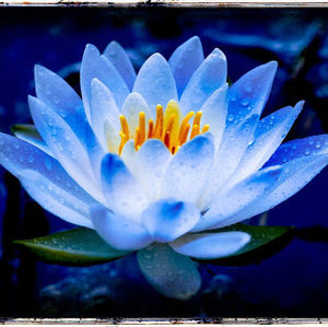 Meet your Posher, Lilyann